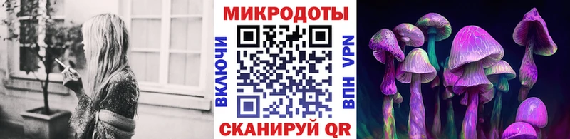 Купить закладки  Яхрома  Галлюциногенные грибы Cubensis 